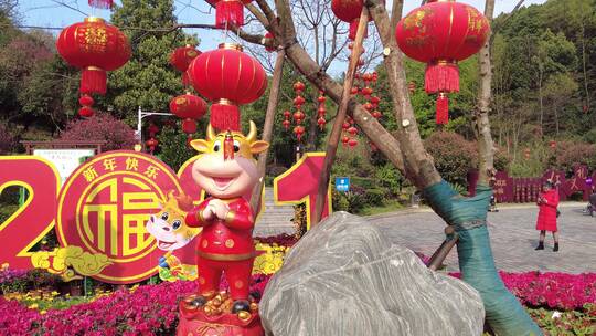 郴州南塔公园南门元宵节红色灯笼2视频素材模板下载