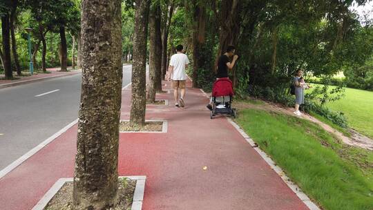 深圳大学 大学 教育 高等教育 高校