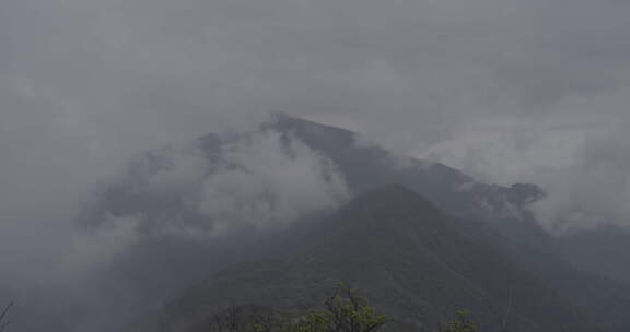 贵州铜仁梵净山云雾