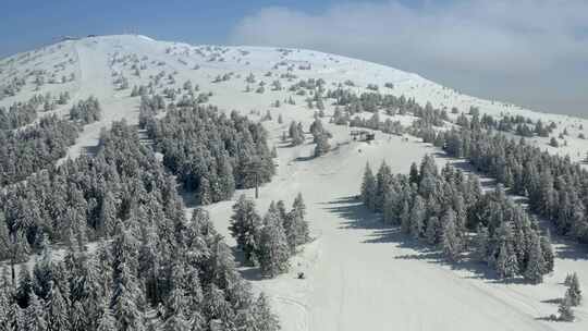 冬天，雪，山，针叶树