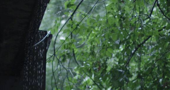 唯美下雨升格素材