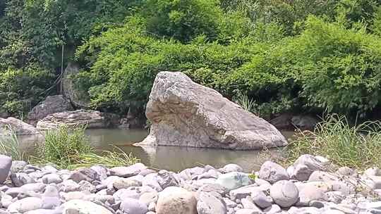 大自然森林小溪风景