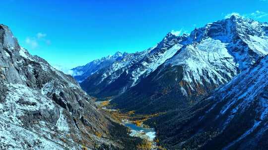 雪山下多彩树林与湖泊相映的美景