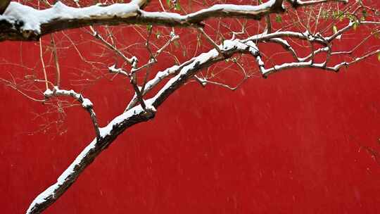 北京故宫冬天红墙古建筑宫殿大雪纷飞雪花飘