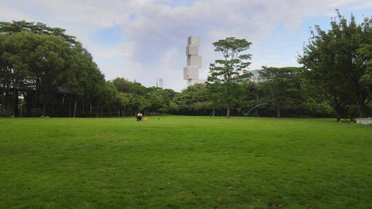 佛山 佛山市 佛山地标 塔坊视频素材模板下载