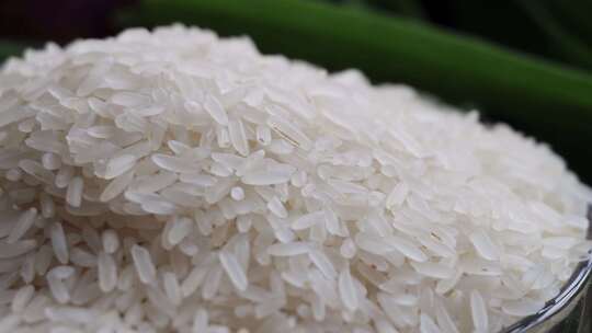 大米 五常大米 粮食丰收 粮仓视频素材模板下载