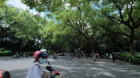 广西桂林城市道路绿树成荫的老城区街道街景