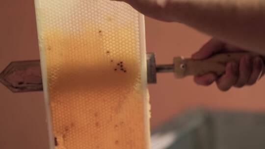 蜂蜜蜂巢慢动作视频素材模板下载