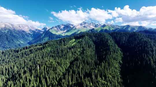 山林间的航拍全景