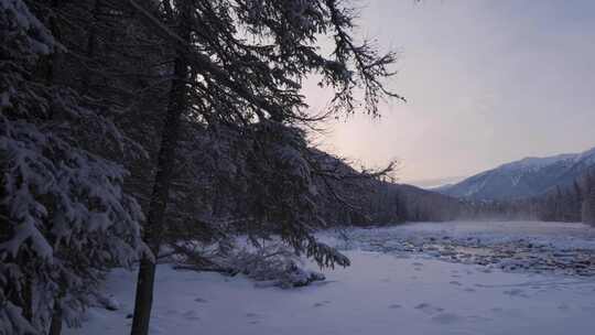 清晨的新疆喀纳斯河雪景