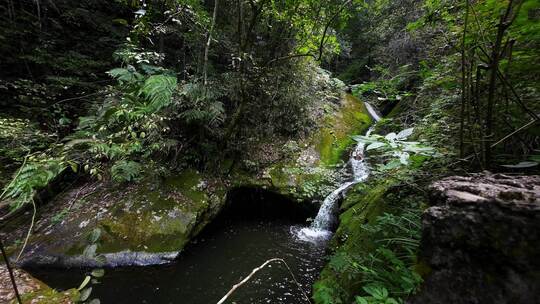 低角度拍摄桂林大山峡谷中的森林瀑布溪流