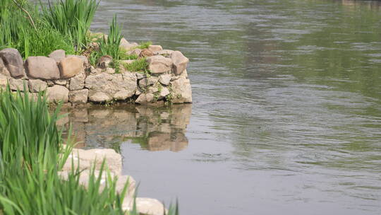 生态古风木栈道溪流绿色花草