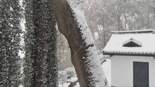 航拍城市风光长沙雪景古建筑岳麓书院雪景视频素材模板下载