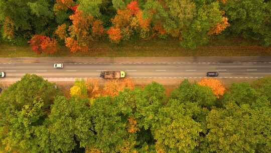 秋天森林道路上方的鸟瞰图，汽车在里面。直道上的俯视图，汽车在里面
