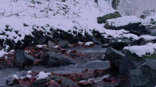 美丽的冬天雪景特写 高山森林小河树木