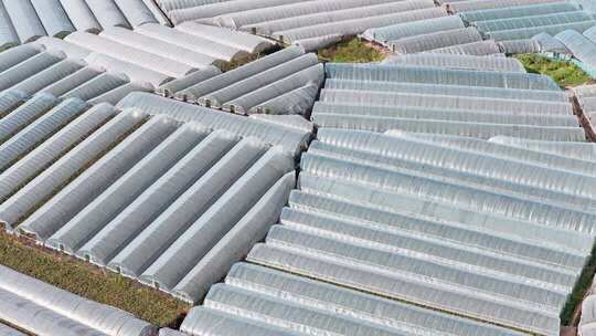 航拍农业大棚种植基地