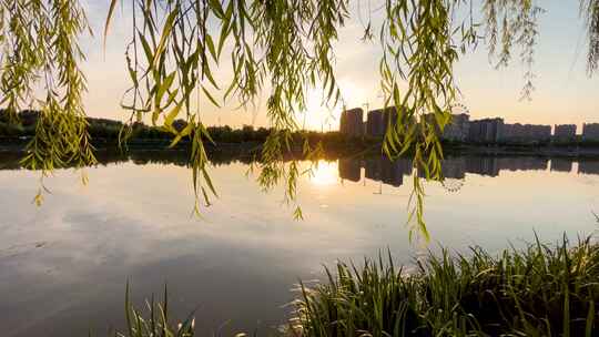 夕阳下河边垂柳步道风景