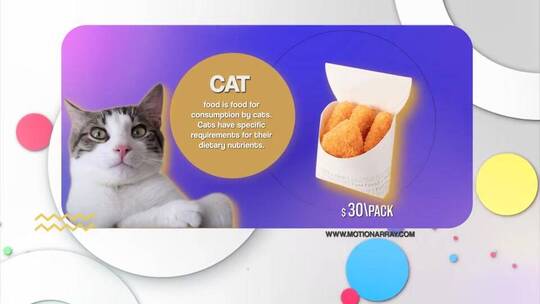 宠物食品产品扁平色彩商品促销幻AE模板