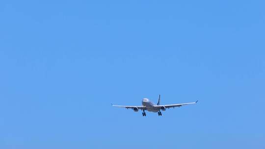 天合联盟航空飞机在深圳机场降落