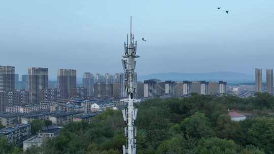 5g 信号基站信号塔