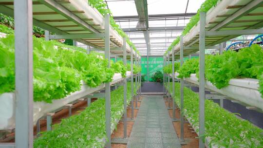 现代化农业温室大棚-科技农业