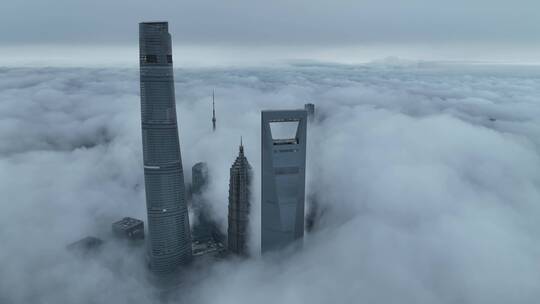 1月13日中午上海超低空平流雾