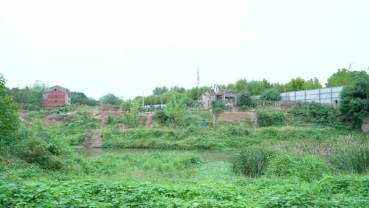 武汉光谷三路湿地公园风景