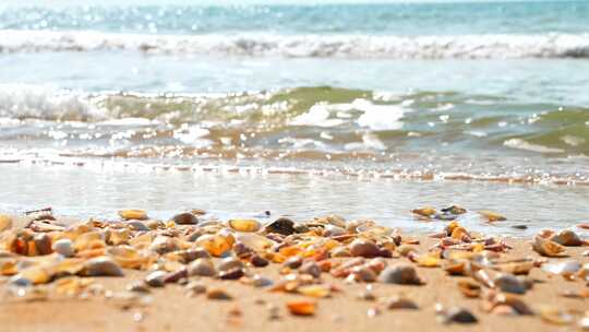 海边沙滩海滩贝壳