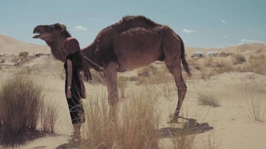 在沙漠中触摸骆驼的女人