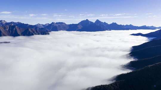 四川阿坝黄龙景区山脉雪山云海延时摄影