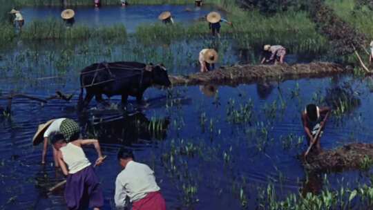 50-60年代东南亚柬埔寨泰国越南农村农民