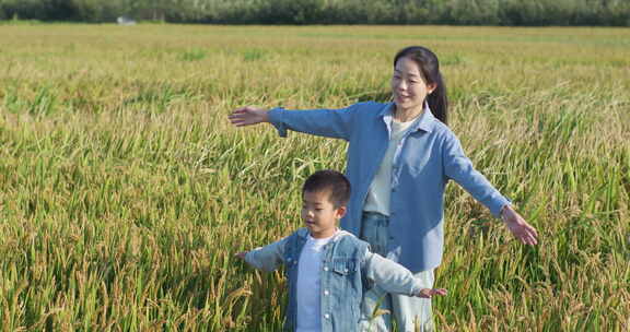 母子在稻田里玩耍