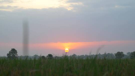 印度尼西亚田野上的日落