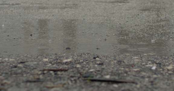 雨慢慢地倾泻在街道上