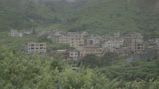 春天，信宜钱排春雨，烟雨大山乡村云雾缭绕