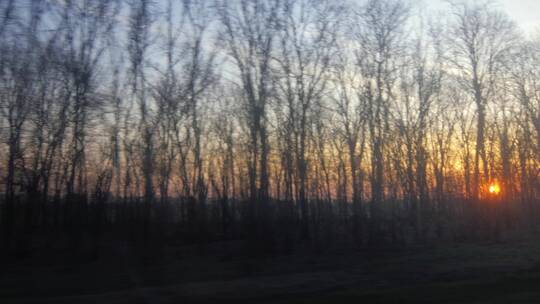 从火车上透过树枝看到太阳