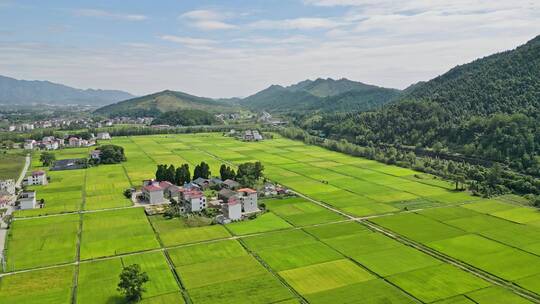 航拍乡村风景