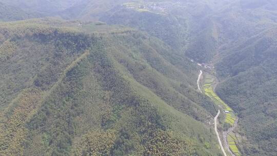 衢州市衢江区东平村