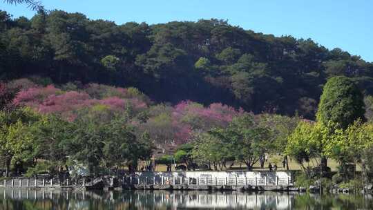 南宁市石门森林公园