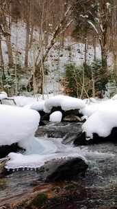 森林河积雪覆盖的岩石