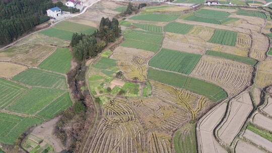 航拍春耕农田农业大棚种植基地农作物