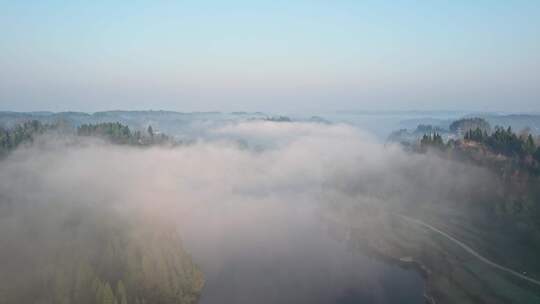 清晨大山森林航拍