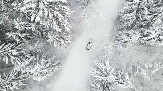 航拍在森林雪地里的汽车