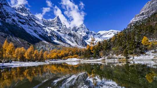 雪山下多彩树林与湖泊相映的美景