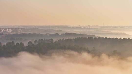 山林晨雾全景