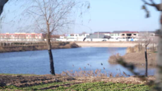 湖 湖边 户外 风景 倒影