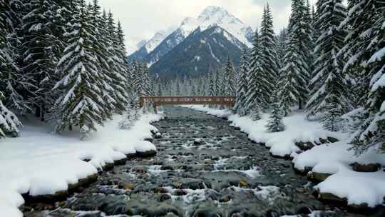 冬季雪山森林溪流景观