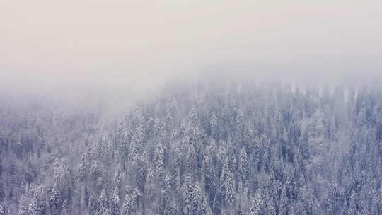 朦胧雪山雪景