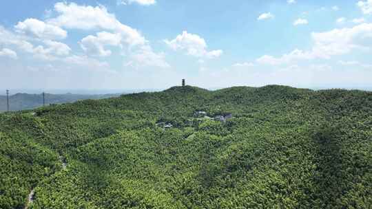 蓝天白云 航拍湖南衡阳蔡伦竹海 远山空镜