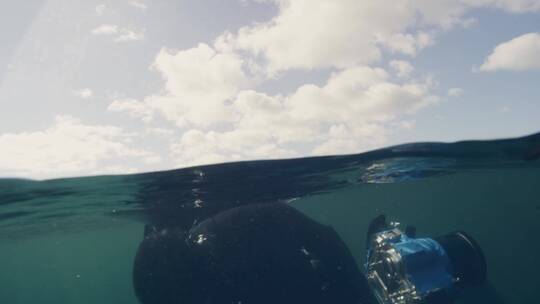 潜水员潜入海洋中视频素材模板下载
